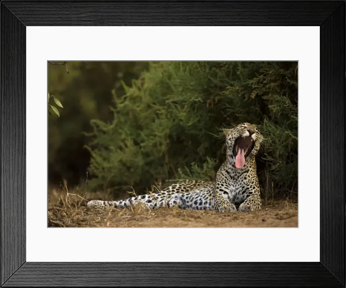 Framed Print : DDE-90020112 Framed Print : DDE-90020112