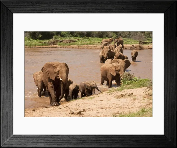 Framed Print : DDE-90020105 Framed Print : DDE-90020105