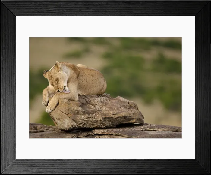Framed Print : DDE-90020117 Framed Print : DDE-90020117
