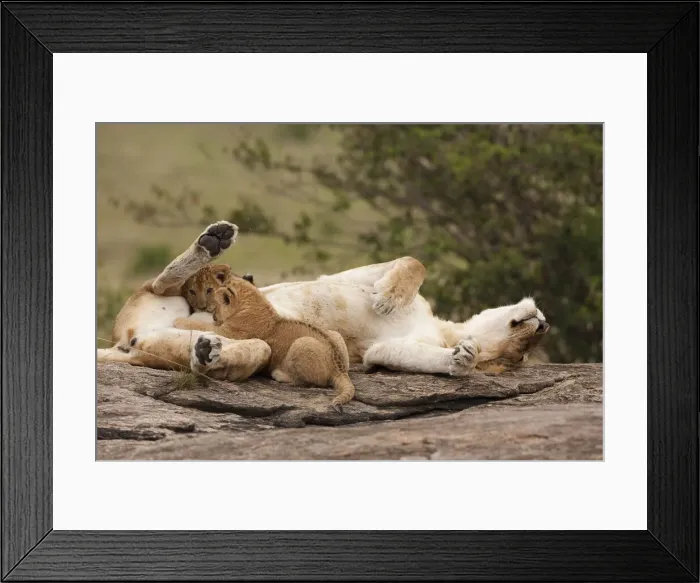 Framed Print : DDE-90020122 Framed Print : DDE-90020122