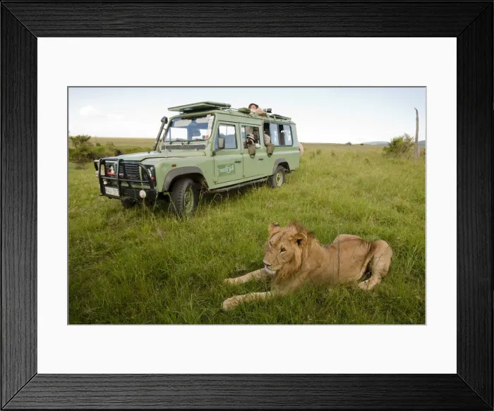 Framed Print : DDE-90020129 Framed Print : DDE-90020129
