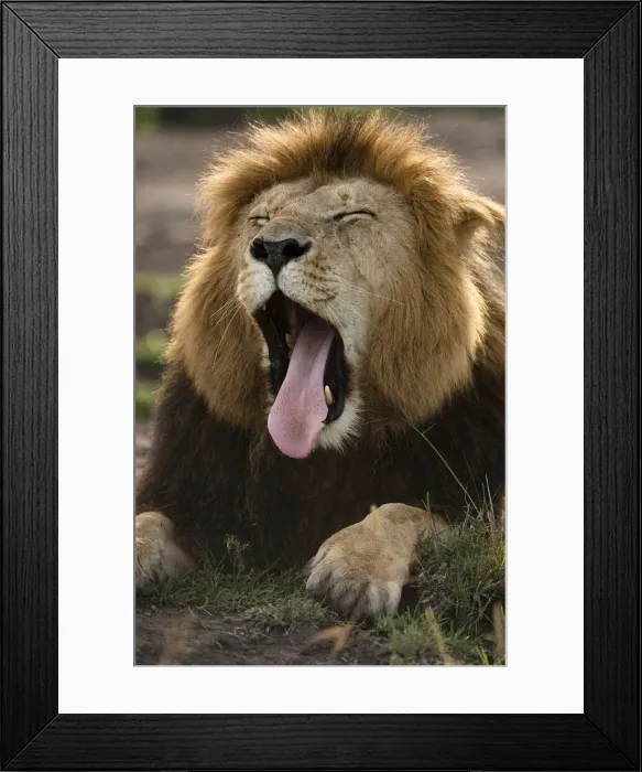 Framed Print : DDE-90020132 Framed Print : DDE-90020132