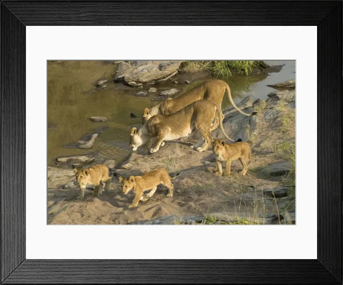 Framed Print : DDE-90020136 Framed Print : DDE-90020136