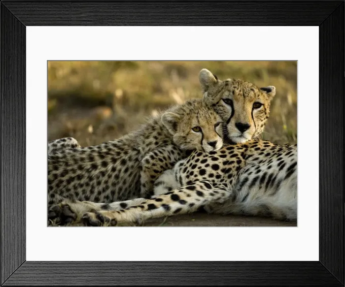 Framed Print : DDE-90020158 Framed Print : DDE-90020158