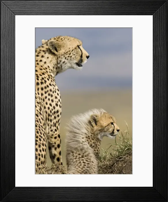Framed Print : DDE-90020159 Framed Print : DDE-90020159