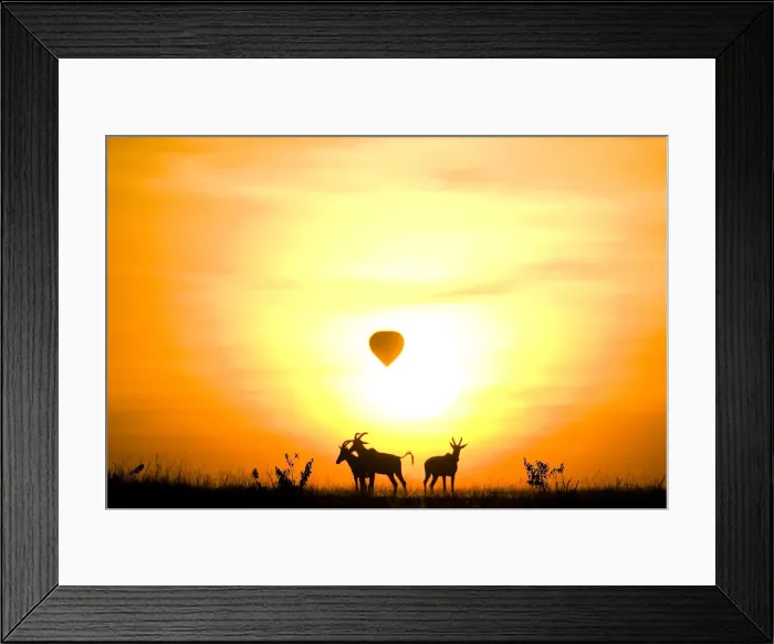 Framed Print : DDE-90020167 Framed Print : DDE-90020167