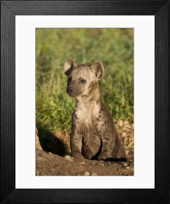 Framed Print : DDE-90020174