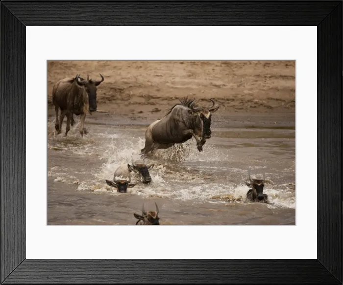 Framed Print : DDE-90020176 Framed Print : DDE-90020176