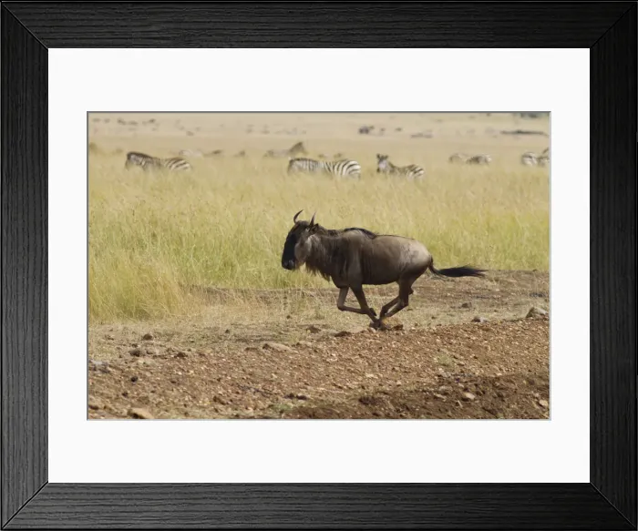 Framed Print : DDE-90020190 Framed Print : DDE-90020190