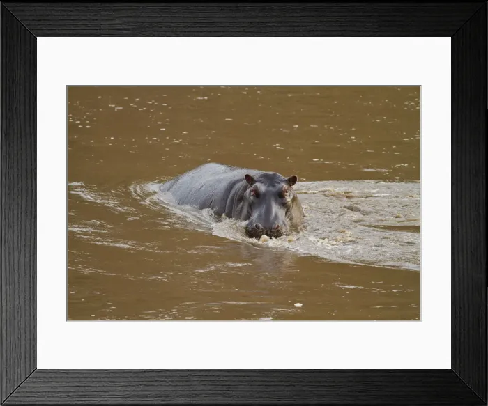 Framed Print : DDE-90020198
