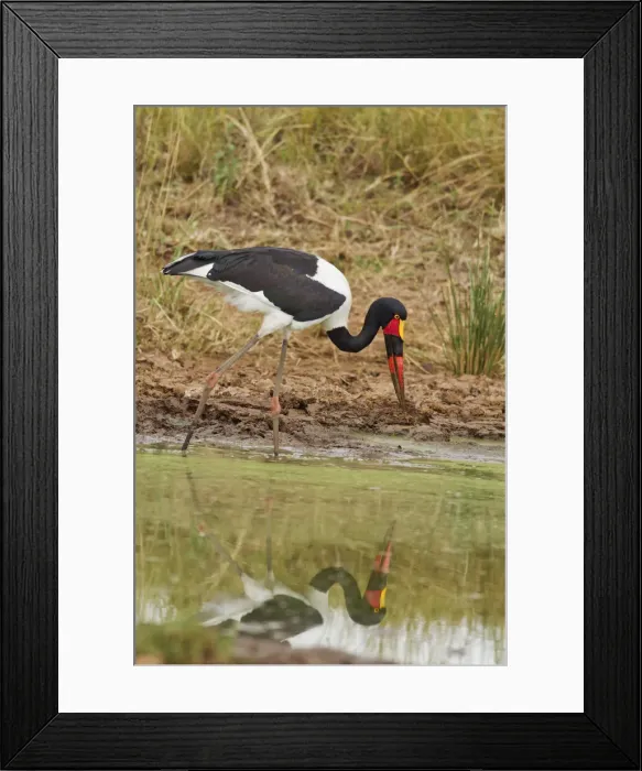 Framed Print : DDE-90020206 Framed Print : DDE-90020206
