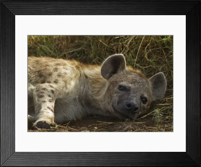 Framed Print : DDE-90020207 Framed Print : DDE-90020207