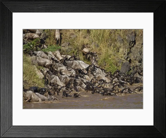 Framed Print : DDE-90020208 Framed Print : DDE-90020208