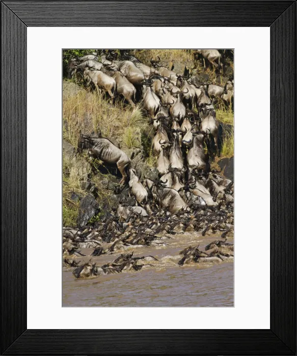 Framed Print : DDE-90020209