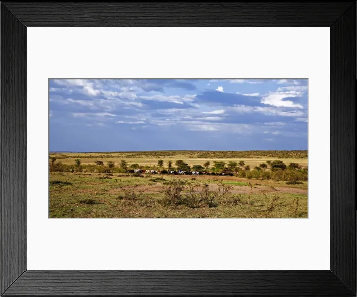 Framed Print : DDE-90020211 Framed Print : DDE-90020211