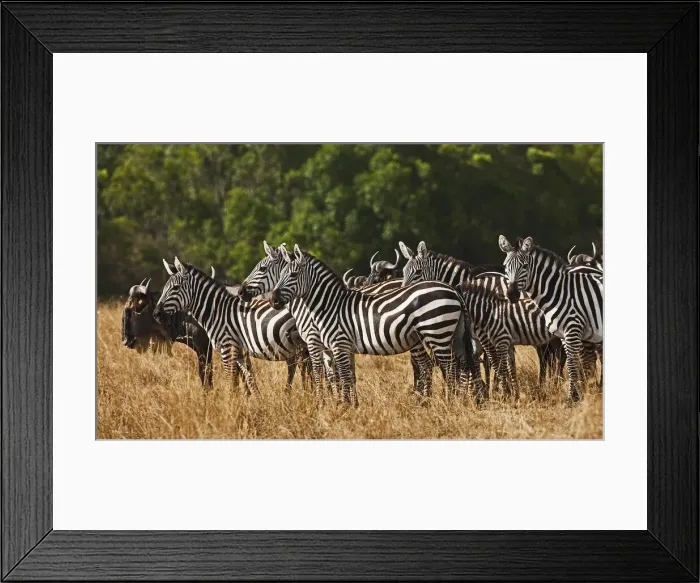 Framed Print : DDE-90020212 Framed Print : DDE-90020212