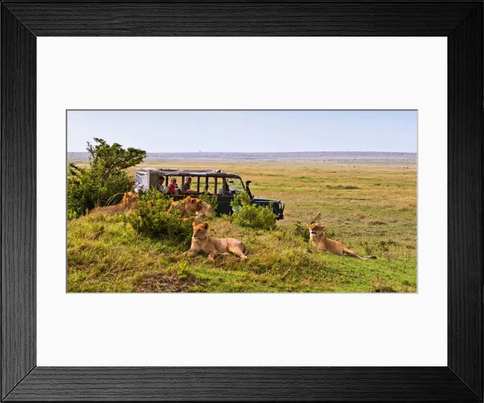 Framed Print : DDE-90020219 Framed Print : DDE-90020219