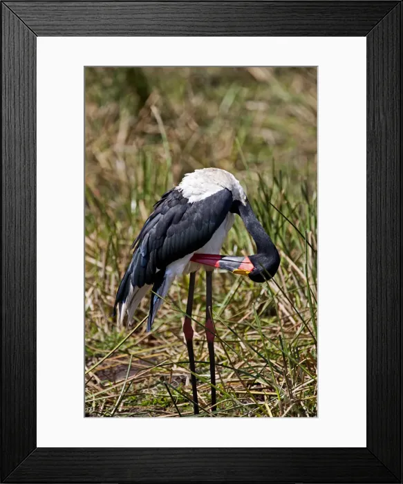 Framed Print : DDE-90020225 Framed Print : DDE-90020225