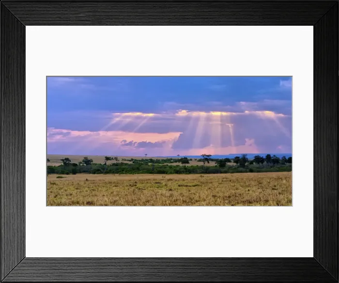 Framed Print : DDE-90020228