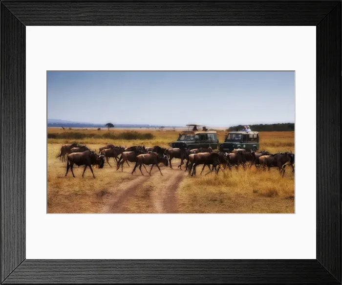 Framed Print : DDE-90020229 Framed Print : DDE-90020229