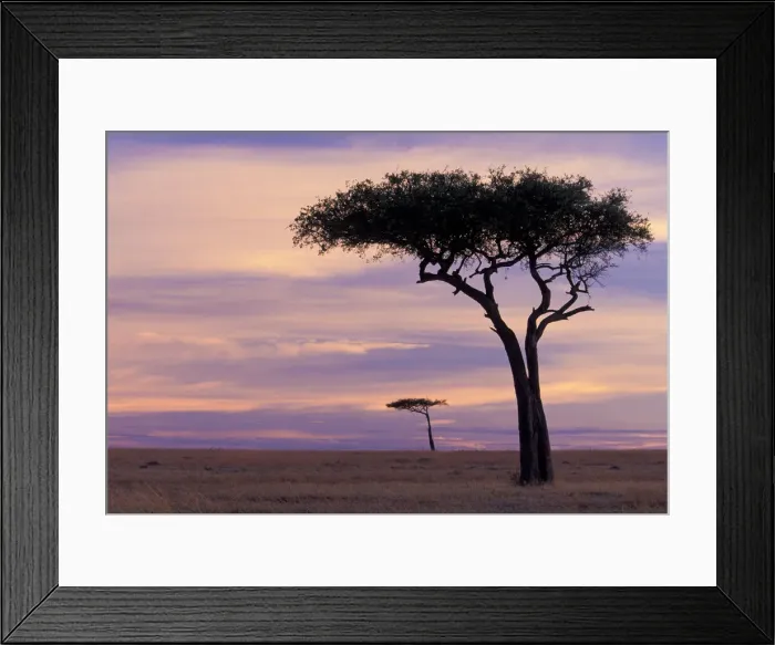 Framed Print : DDE-90020235 Framed Print : DDE-90020235