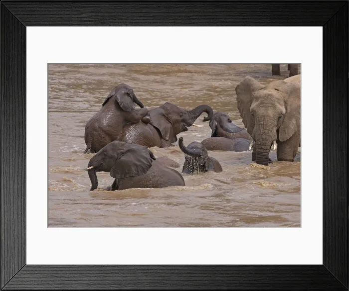 Framed Print : DDE-90020268 Framed Print : DDE-90020268