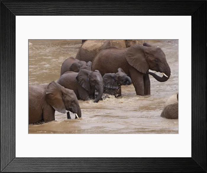 Framed Print : DDE-90020269 Framed Print : DDE-90020269