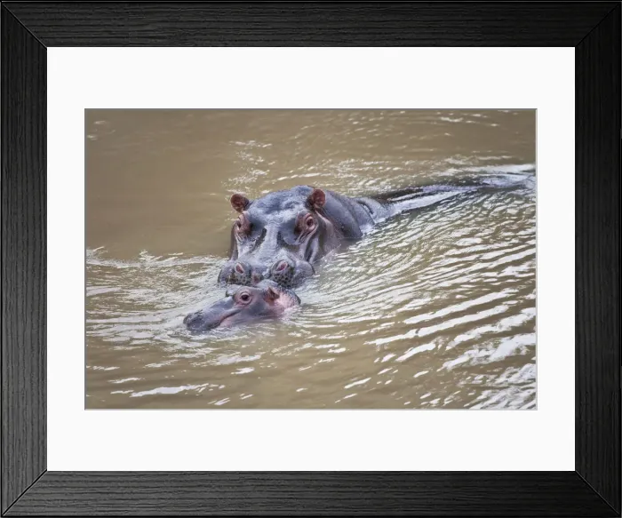 Framed Print : DDE-90020273 Framed Print : DDE-90020273
