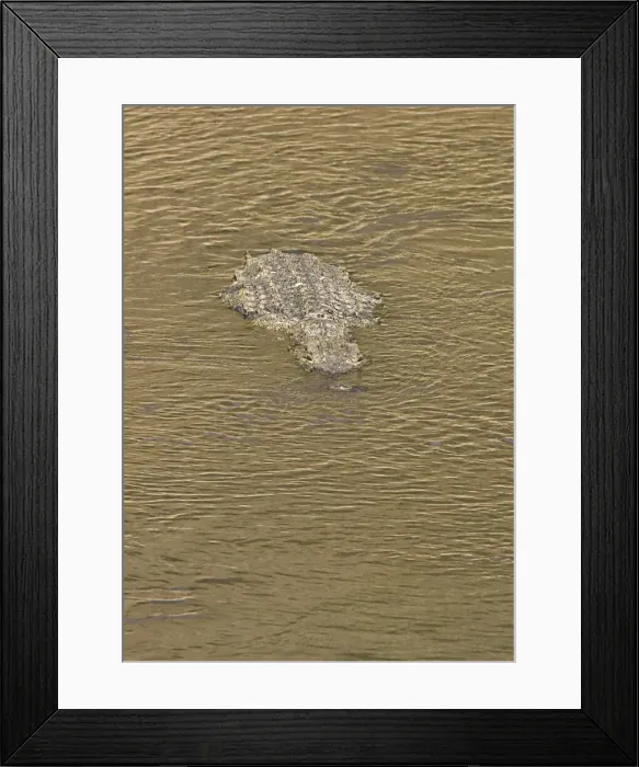 Framed Print : DDE-90020267 Framed Print : DDE-90020267