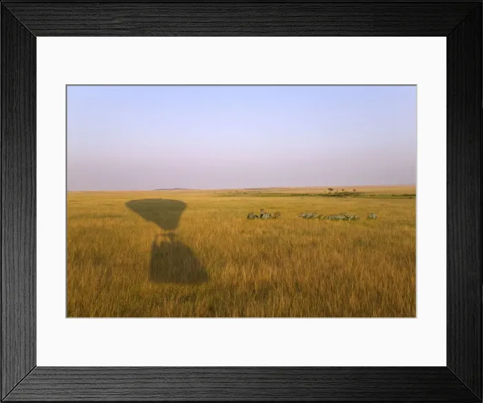 Framed Print : DDE-90020277 Framed Print : DDE-90020277