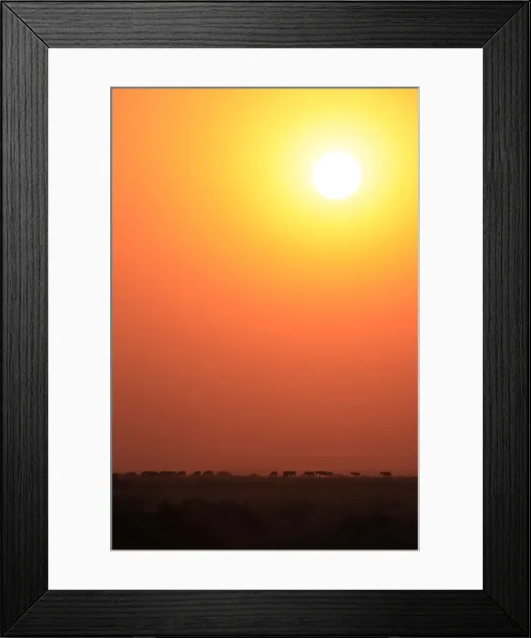 Framed Print : DDE-90020285 Framed Print : DDE-90020285