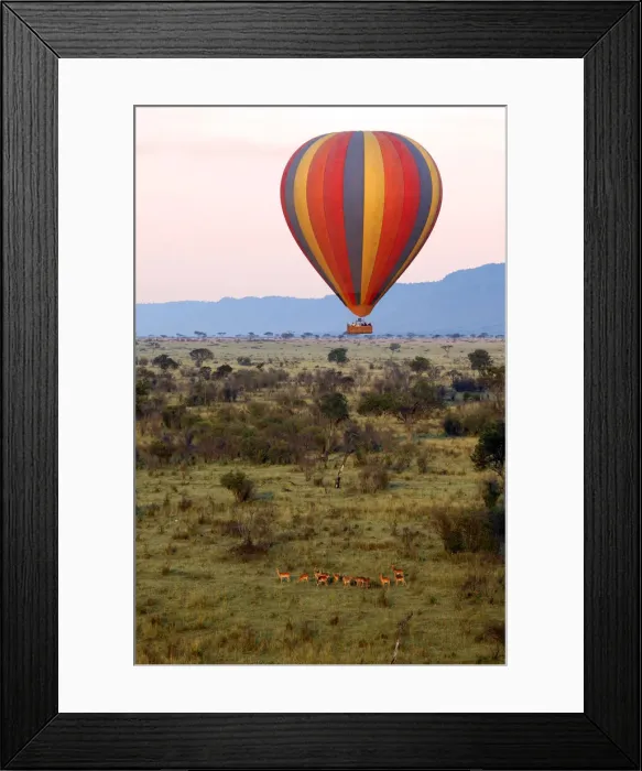 Framed Print : DDE-90020289 Framed Print : DDE-90020289