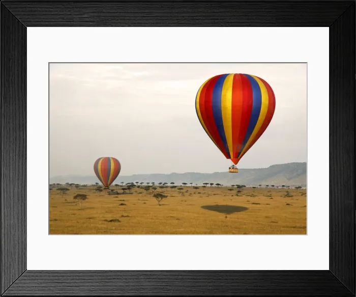 Framed Print : DDE-90020290 Framed Print : DDE-90020290
