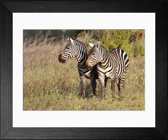 Framed Print : DDE-90020293 Framed Print : DDE-90020293