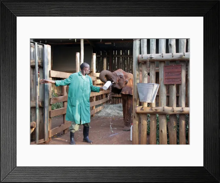 Framed Print : DDE-90020297 Framed Print : DDE-90020297