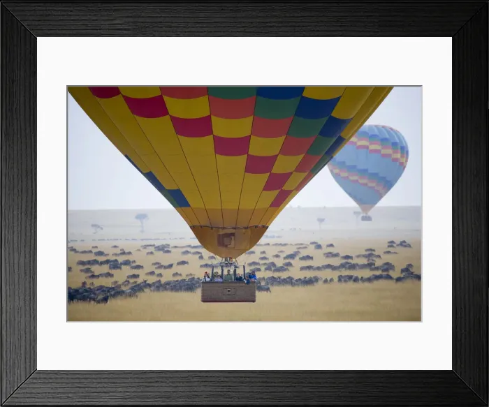 Framed Print : DDE-90020299 Framed Print : DDE-90020299
