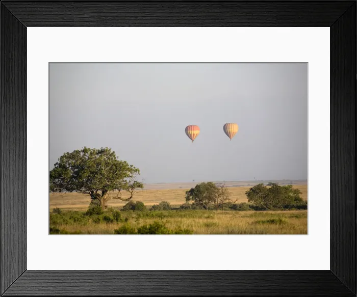 Framed Print : DDE-90020300 Framed Print : DDE-90020300