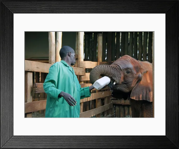 Framed Print : DDE-90020298 Framed Print : DDE-90020298