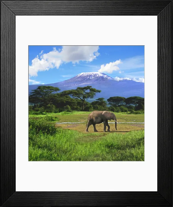 Framed Print : DDE-90020305 Framed Print : DDE-90020305