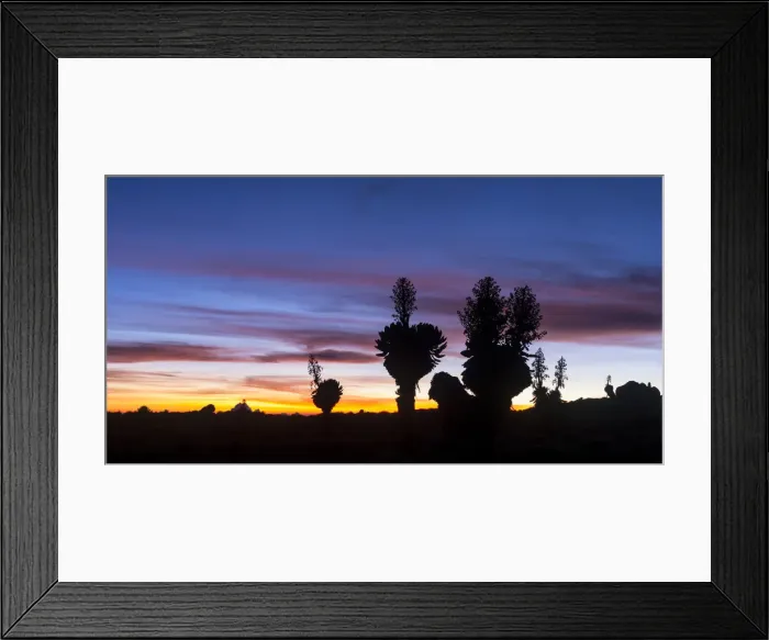 Framed Print : DDE-90020308 Framed Print : DDE-90020308