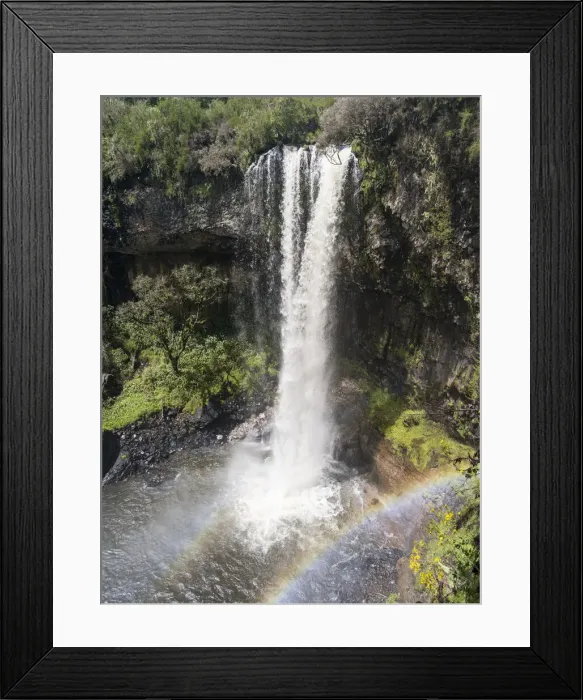 Framed Print : DDE-90020312 Framed Print : DDE-90020312