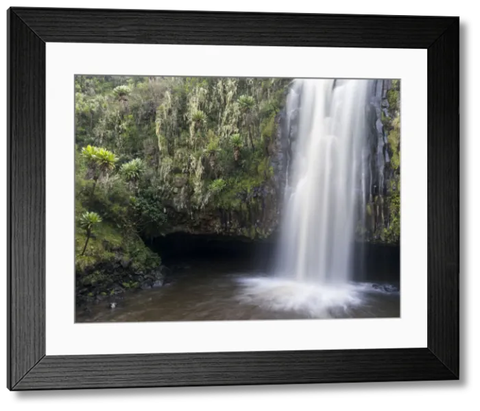 Framed Print : DDE-90020315