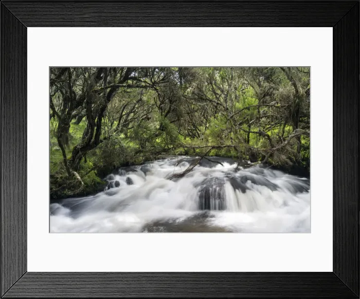 Framed Print : DDE-90020316 Framed Print : DDE-90020316