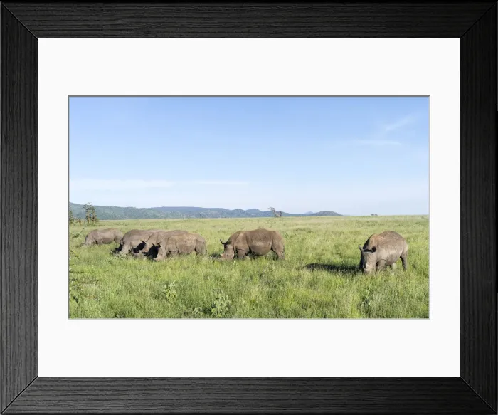 Framed Print : DDE-90020317 Framed Print : DDE-90020317