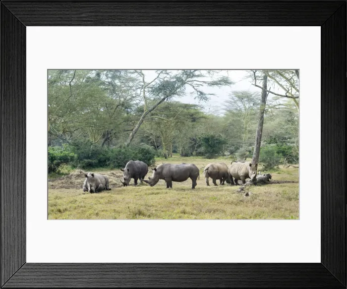 Framed Print : DDE-90020318 Framed Print : DDE-90020318