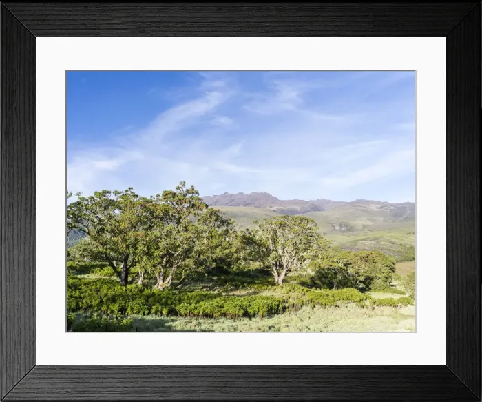 Framed Print : DDE-90020329