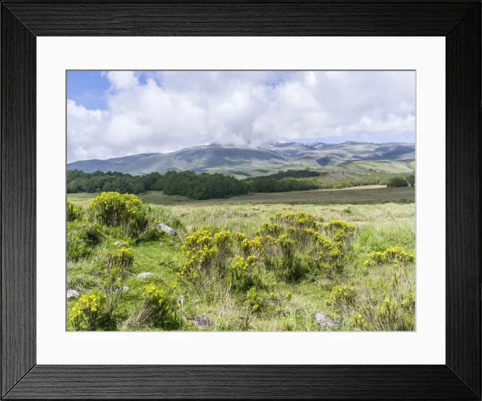 Framed Print : DDE-90020331 Framed Print : DDE-90020331