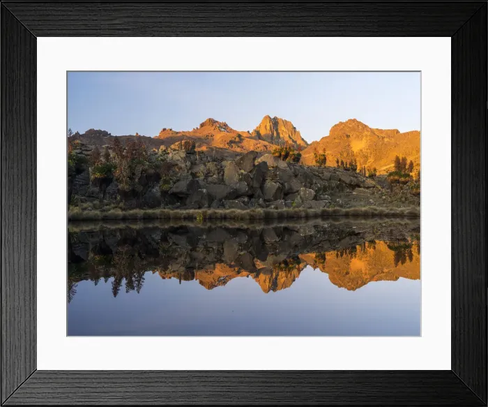 Framed Print : DDE-90020335