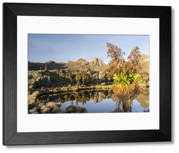 Framed Print : DDE-90020336