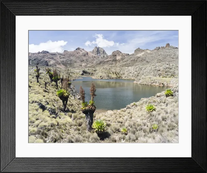 Framed Print : DDE-90020337